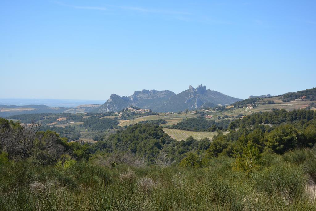 Bed and Breakfast Mas De Carabelle La Roque-Alric Exteriér fotografie