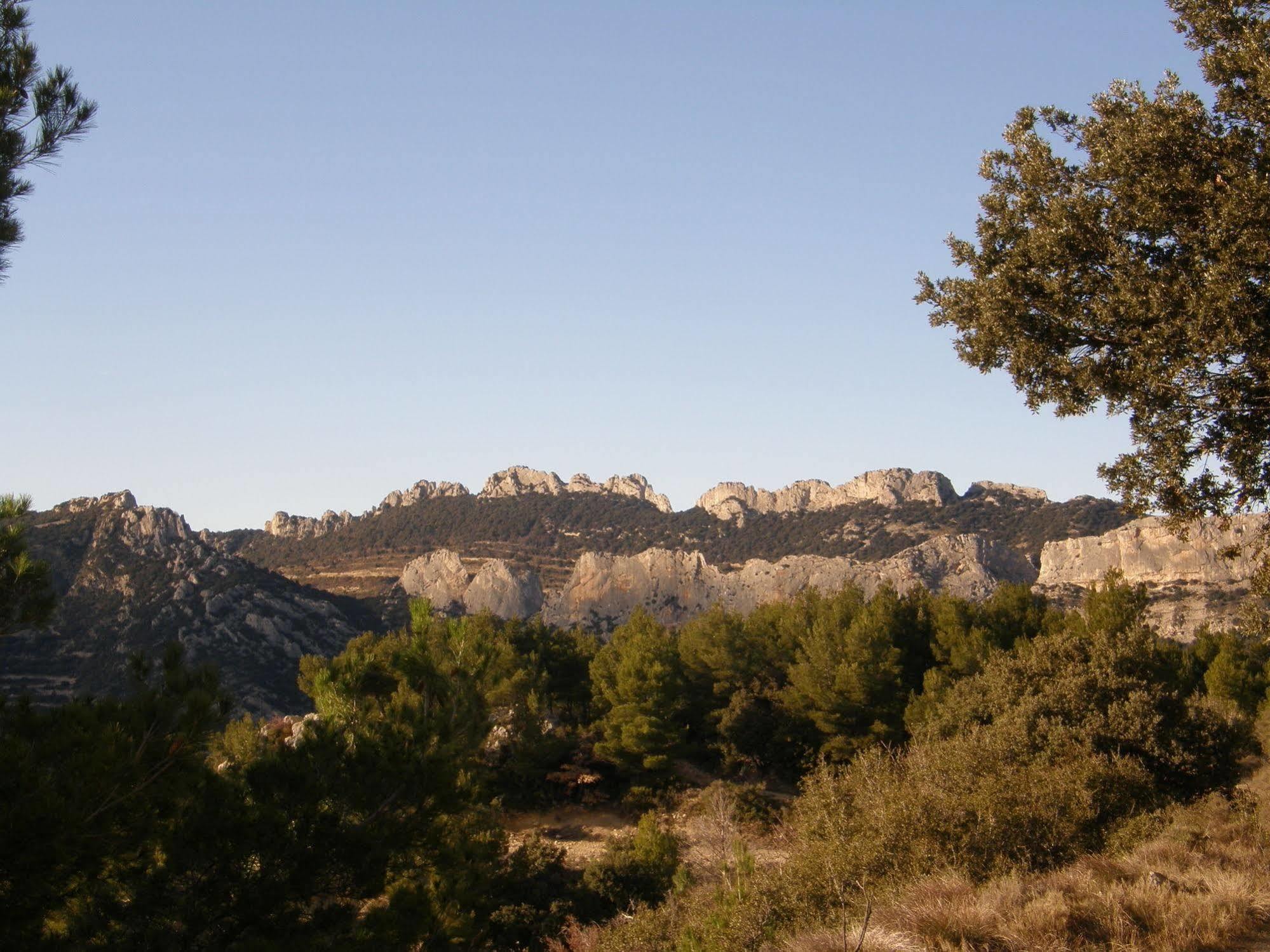 Bed and Breakfast Mas De Carabelle La Roque-Alric Exteriér fotografie